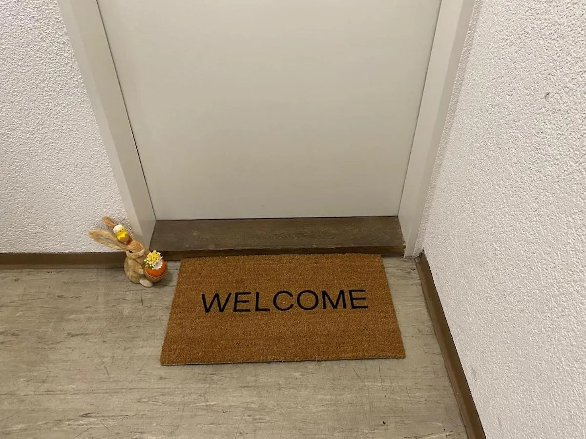Daire 4 Zimmer, 6 Betten, Neu Moebliert, Im Zentrum Basel