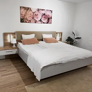 Appartement Eine Schoene Im Herzen Von Basel., Bâle